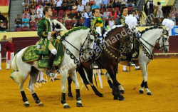 XLIX Corrida TV Campo Pequeno 22.8.2013